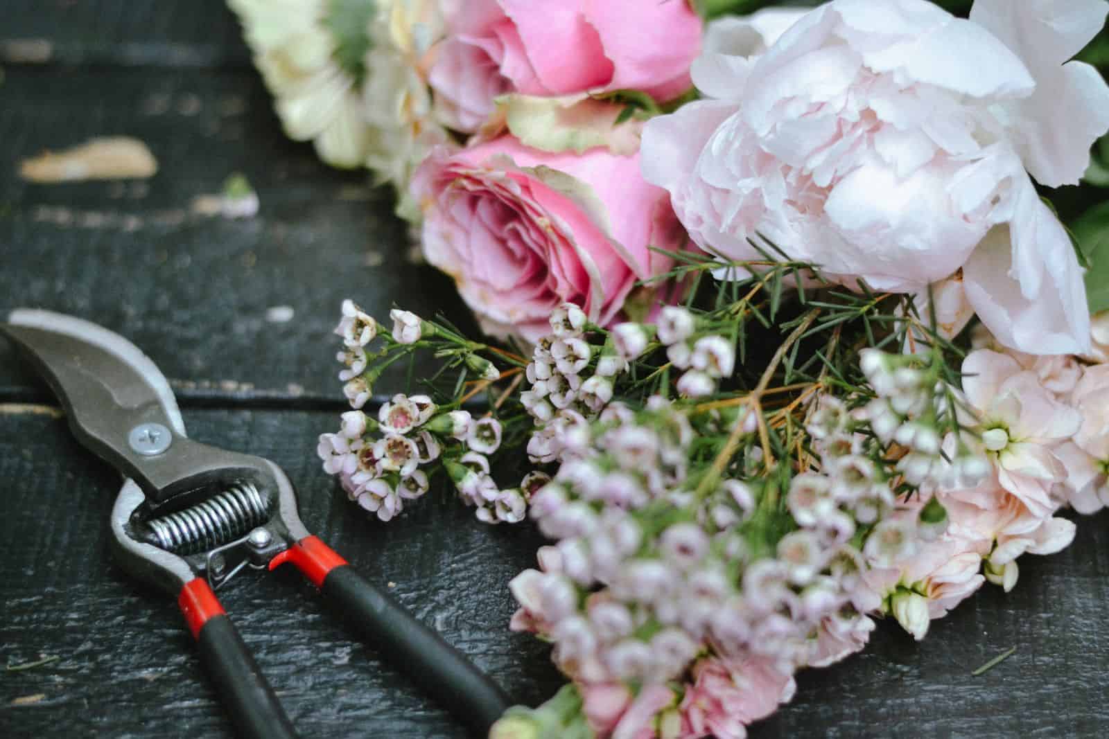 Bypass pruning shears resting on a rustic wood surface beside freshly cut pink and white flowers