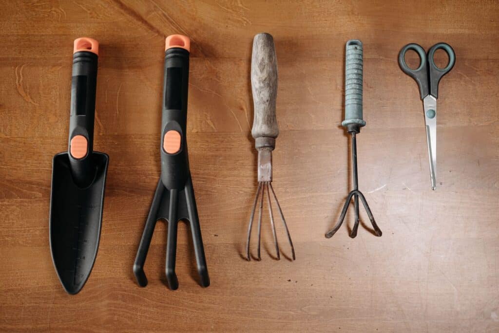 Essential garden tools for beginners — trowel, cultivator, hand fork, and shears laid out on a wooden surface
